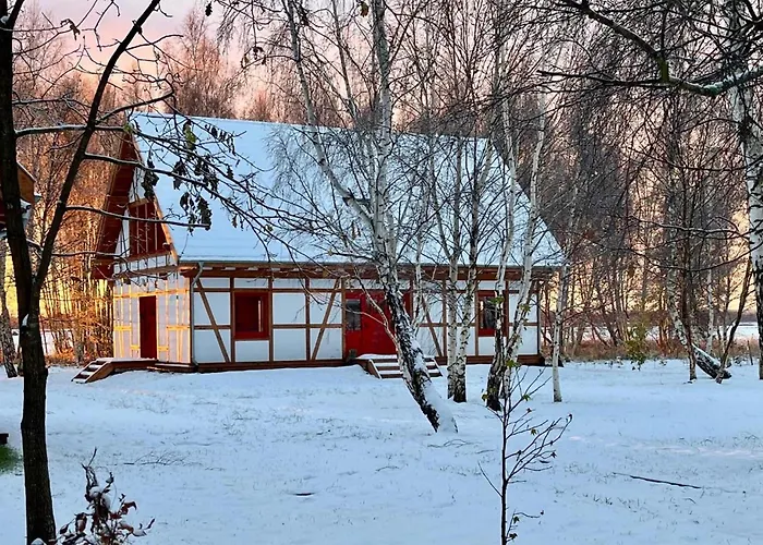 Cozy In With Kitchen Vakantiehuis *